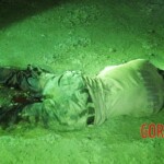 Terrorists from ISIS killed several Nigerian soldiers