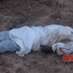 Tragic aftermath of terrorist attack on Christian village in Nigeria