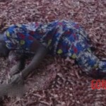 Tragic aftermath of terrorist attack on Christian village in Nigeria