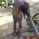 Washed-up female tsunami victim