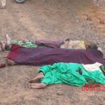 Whole family died in head-on collision with truck