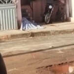 Woman assassinated with shotgun