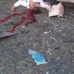 Young Mexican woman and 10 others died in head-on crash