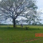 Rocío Vázquez & Óscar Vera