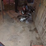 Bloody aftermath of collision between two motorcycles