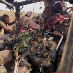 Boko Haram members killed by Nigerian army
