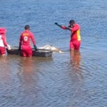 Dead female body found in São Francisco river