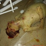 Deranged patient brutally murdered another patient in hospital