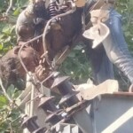 Electrician killed during transformer maintenance