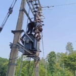 Electrician killed during transformer maintenance