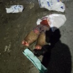 Gang members dismembered their rival dumped him on road