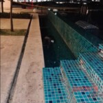 Guy pushes his girlfriend out of 23th-floor window during argument