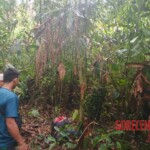 Headless male corpse discovered in Indonesian jungle