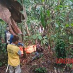 Headless male corpse discovered in Indonesian jungle