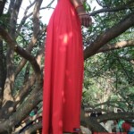 Indian woman working on farm hanged herself from fruit tree