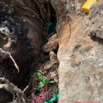 More than 35 ISIS members killed during anti-terrorist operation in Puntland