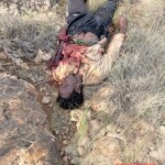 More than 35 ISIS members killed during anti-terrorist operation in Puntland