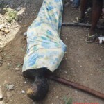 No mercy for the child kidnapper in Haiti