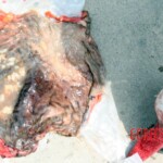 Outdoor examination and autopsy of young Chinese woman