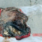 Outdoor examination and autopsy of young Chinese woman