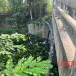 Teenage girl died after falling into canal during motorcycle accident