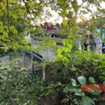 Teenage girl died after falling into canal during motorcycle accident