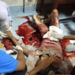 Thai man committed suicide in the traditional Japanese way