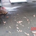 Thai man crushed by truck