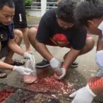 Thai man crushed by truck