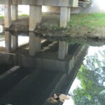 Tied naked female corpse found in water