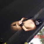 Tied naked female corpse found in water