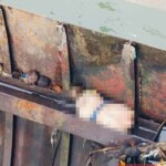 Fabiola Alejandra Caicedo Piña