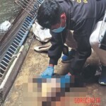 Fabiola Alejandra Caicedo Piña