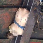 Fabiola Alejandra Caicedo Piña