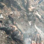 Tragic crash of flight AI‑171 in Ahmedabad