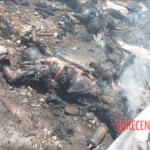 Tragic crash of flight AI‑171 in Ahmedabad