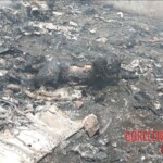 Tragic crash of flight AI‑171 in Ahmedabad