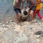 Two men drowned while swimming drunk in lake