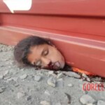 Woman crushed by shipping container