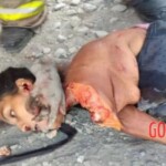 Woman crushed by shipping container