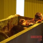 Worker fell into sugar cane crushing machine