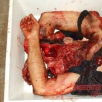 Worker fell into sugar cane crushing machine