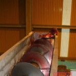 Worker fell into sugar cane crushing machine