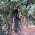 Young Cambodian man hanged himself in garden