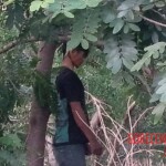 Young Cambodian man hanged himself in garden