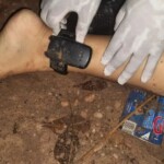 Young female criminal shot dead by police during car chase