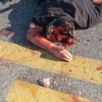 Young motorcyclist died in collision with truck