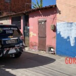 Young woman executed by her ex-boyfriend