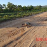 36-year-old woman found executed on dirt road