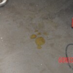 Chinese woman found dead in bathroom due to gas poisoning